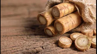 Why You Should Add Burdock Root to Your Diet