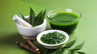 Why Monsoon Is Historically Best Season For Kerala Ayurvedic Wellness Treatments Among Millennials