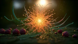 Unlock Your Well-Being: A Deep Dive into Health, Hormones, and Fitness