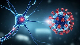 Shingles Vaccine: A Possible Shield Against Dementia?