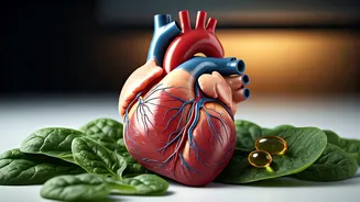 Heart Health: Unveiling the Hidden Connections & Simple Steps