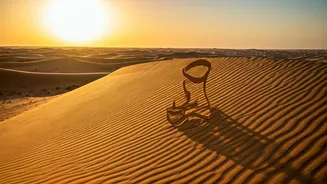 Dubai Desert Safari: Actor Ashwini Kalsekar's Thrill Ride, Partner's Health Caution