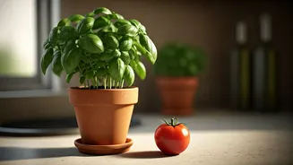 Kitchen Crops Beat Random Plant Experiments Easily