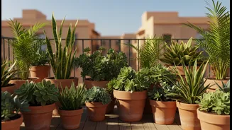 The Best Balcony Plants Suit The City's Heat And Your Routine