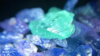 Magnesium Citrate Versus Glycinate Finding The Best Mineral Supplement For Deep Sleep