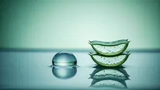 Glow Up: Aloe Vera vs. Glycerin for That Coveted Glass Skin Effect