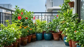 Monsoon Gardening Is Bringing More Flowers And Greenery To Urban Indian Balconies