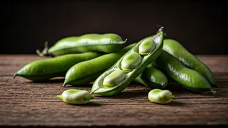 Fava Beans Are Not Boring