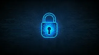 Understanding Website Security: How Bot Protection Works and Why It Matters