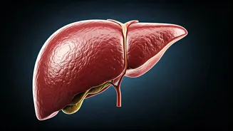 Lean Fatty Liver: The Hidden Health Risk for Normal-Weight Indians