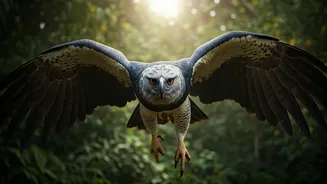 Beyond Chirping: Unveiling the Planet's 5 Most Ferocious Feathered Predators