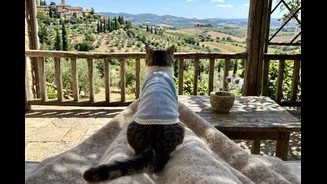 The Pawprint Planners: How Pet-Friendly Travel Is The Next Big Travel Trend Of 2026