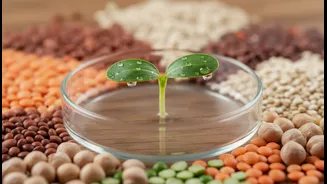 How the plant-based protein digestibility scale improves daily meal planning accuracy metrics