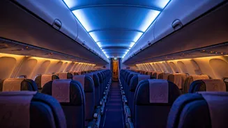 Traveler's Themed Flight Adventures: A Viral Sensation