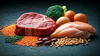Protein Power: Debunking Workout Myths