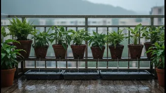 How Better Balcony Drainage Helps Keep Houseplants Healthy During Heavy Monsoon Rains