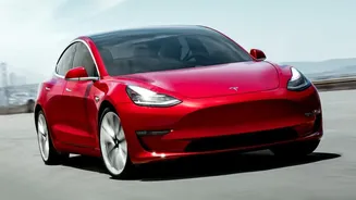 Tesla's On-Screen AI Tries to Map a Busy Gurugram Road