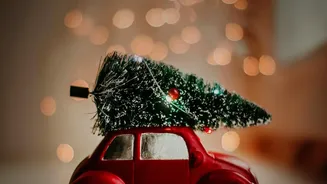 Understanding Festive Auto Demand Without Exaggerating The Story