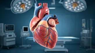 Unveiling the Top 5 Heart-Harmful Habits: A Cardiologist's View