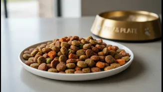 Premium Pet Food Needs Better Indian Explainers