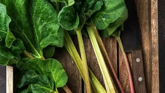 Micro-Green Harvesting Setups On Windowsill Trays Gain Popularity Among Health-Conscious Apartment Owners Today
