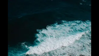 Vietnam Speedboat Tragedy: 15 Indian Tourists Killed Near Phu Quoc Island — 21 Rescued