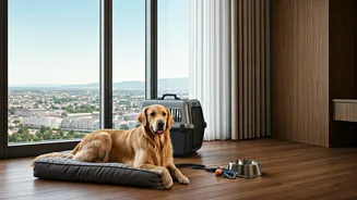 Indian Travel Has Entered Its Pet-Inclusive Phase