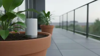 Balcony Gardening Made Easy As IoT Microbial Sensors Monitor Soil Moisture Accurately