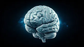 Find Peace Through Gita's Control & Knowledge