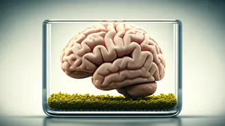 Healthy Brain Aging: Nurturing Your Mind for Longevity