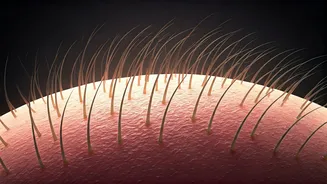 The Scalp Advice Everyone Should Hear