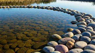 Related Stories banner