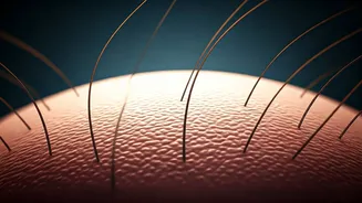 Hair Falling? Your Scalp Wants Attention