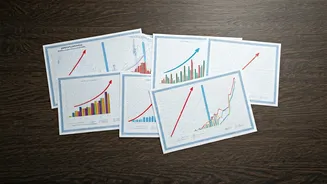 Risk Tolerance: Your Key to Smart Investing