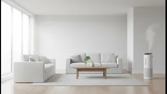 A Damp Home Can Feel Cleaner Once Moisture Sources Are Managed
