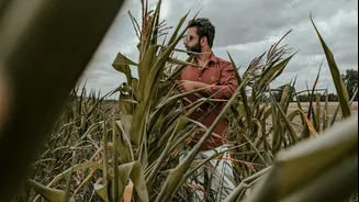 Understanding Crop Insurance Schemes in India