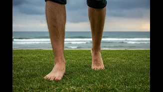 Related Stories banner