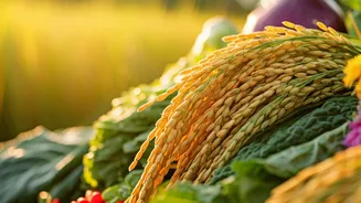 Bohag Bihu 2026: Assam's Grand Spring Festival - Date, History, and Rituals