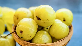 Peak Monsoon Fruits: What Indian Consumers Should Look For