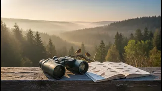 Birdwatching Getaways Are Easier when Travel Days Do Not Eat the Dawn