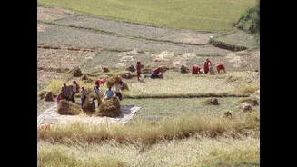 Nagaland Agriculture Policy 2025 Aims to Transform Rural Economy
