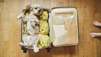 Who Let the Dogs Out? Pet-Friendly Travel Is Taking Over Indian Holidays