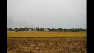Stubble Burning: Causes and Consequences in North India