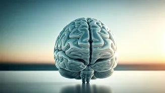 Understanding & Prioritizing Mental Well-being: A Guide for You