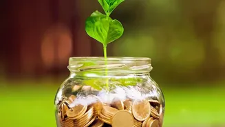 How Small Monthly Investments In SIPs Beat Basic Savings Account Rates Over Time