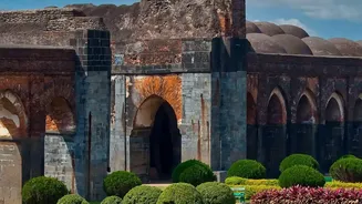 Cheap flights to Uzbekistan encourage Gen Z backpackers to visit historic Samarkand
