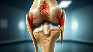 Busting Arthritis Myths: What You Must Know!