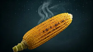 Bhutta And Rain Make The Perfect Pair