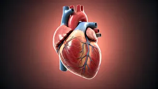 Eat These 5 Foods for a Healthy Heart
