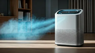Delhi Smog: 5 Air Purifier Essentials Post-Diwali